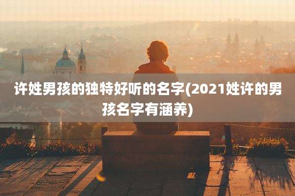 许姓男孩的独特好听的名字(2021姓许的男孩名字有涵养)