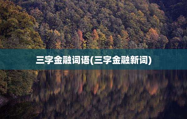 三字金融词语(三字金融新词)