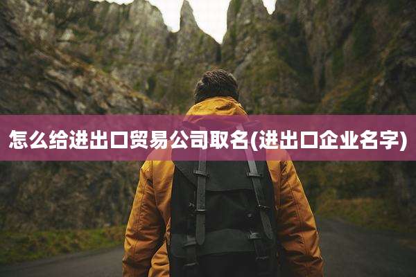 怎么给进出口贸易公司取名(进出口企业名字)