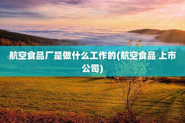 航空食品厂是做什么工作的(航空食品 上市公司)