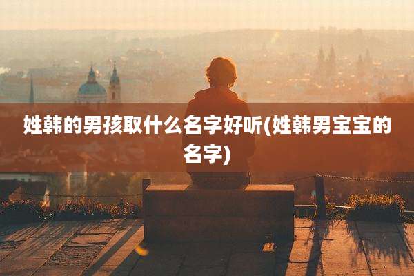 姓韩的男孩取什么名字好听(姓韩男宝宝的名字)