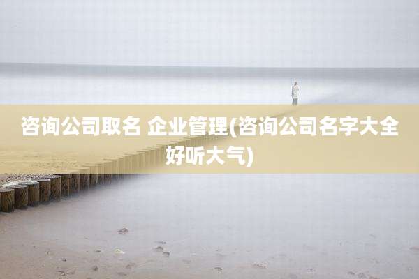 咨询公司取名 企业管理(咨询公司名字大全好听大气)