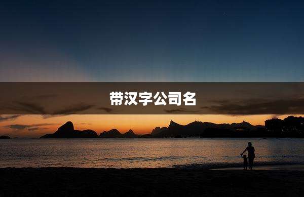 带汉字公司名