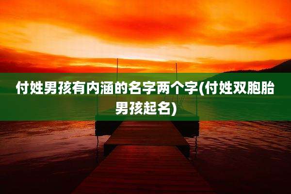 付姓男孩有内涵的名字两个字(付姓双胞胎男孩起名)