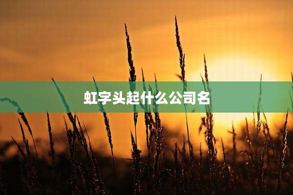 虹字头起什么公司名