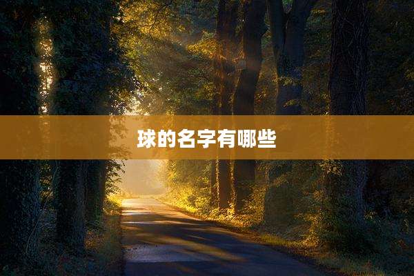 球的名字有哪些