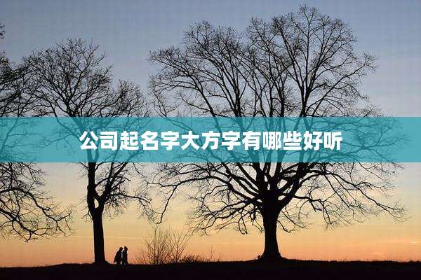 公司起名字大方字有哪些好听