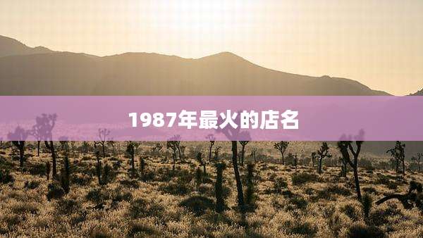 1987年最火的店名