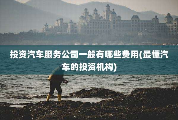 投资汽车服务公司一般有哪些费用(最懂汽车的投资机构)