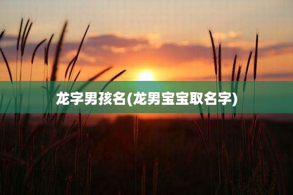 龙字男孩名(龙男宝宝取名字)
