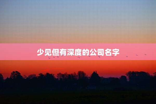 少见但有深度的公司名字