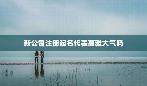 新公司注册起名代表高雅大气吗