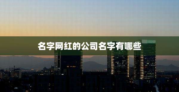 名字网红的公司名字有哪些