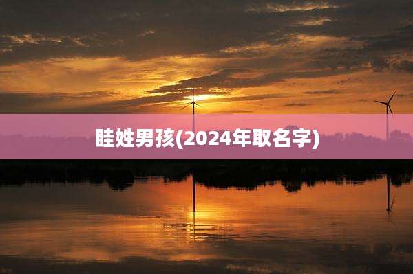 眭姓男孩(2024年取名字)