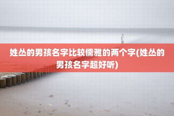 姓丛的男孩名字比较儒雅的两个字(姓丛的男孩名字超好听)
