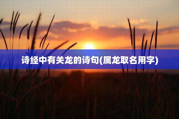 诗经中有关龙的诗句(属龙取名用字)