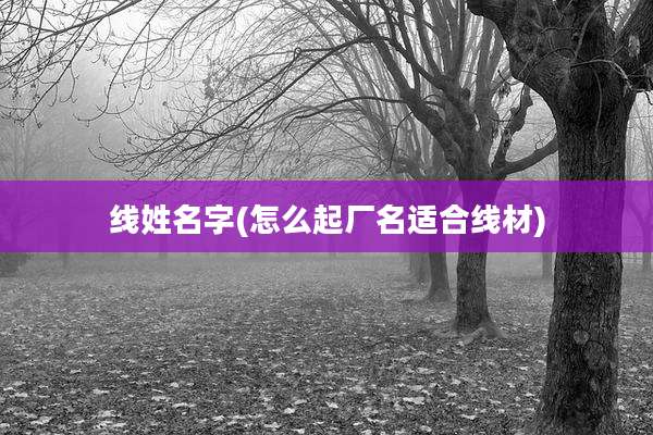 线姓名字(怎么起厂名适合线材)