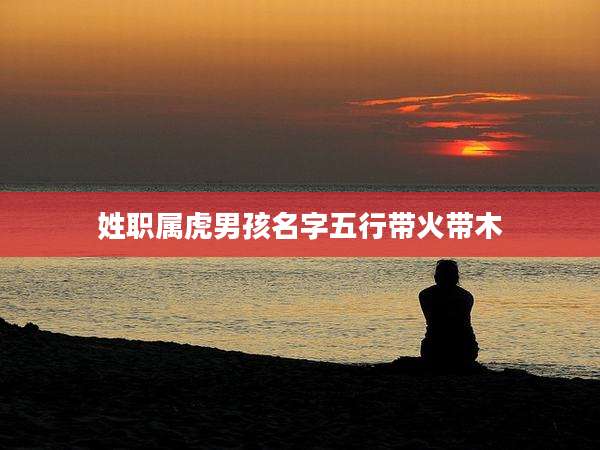 姓职属虎男孩名字五行带火带木