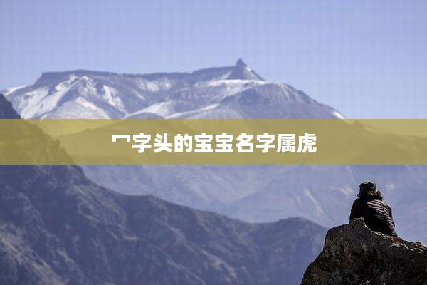 冖字头的宝宝名字属虎