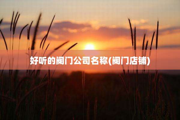 好听的阀门公司名称(阀门店铺)