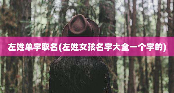 左姓单字取名(左姓女孩名字大全一个字的)