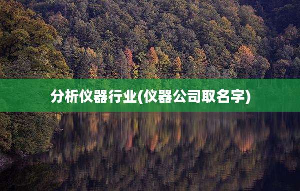 分析仪器行业(仪器公司取名字)