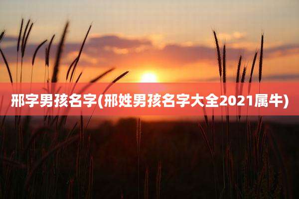 邢字男孩名字(邢姓男孩名字大全2021属牛)