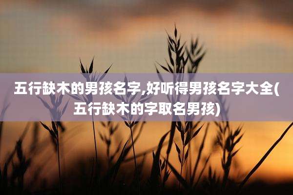 五行缺木的男孩名字,好听得男孩名字大全(五行缺木的字取名男孩)
