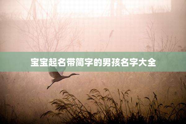 宝宝起名带简字的男孩名字大全