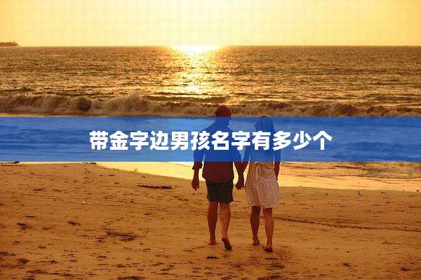带金字边男孩名字有多少个
