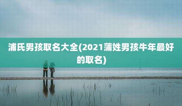 浦氏男孩取名大全(2021蒲姓男孩牛年最好的取名)