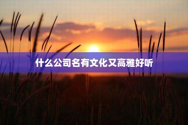 什么公司名有文化又高雅好听