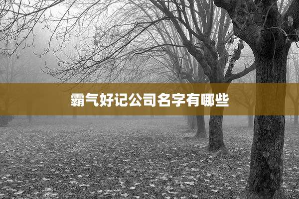 霸气好记公司名字有哪些