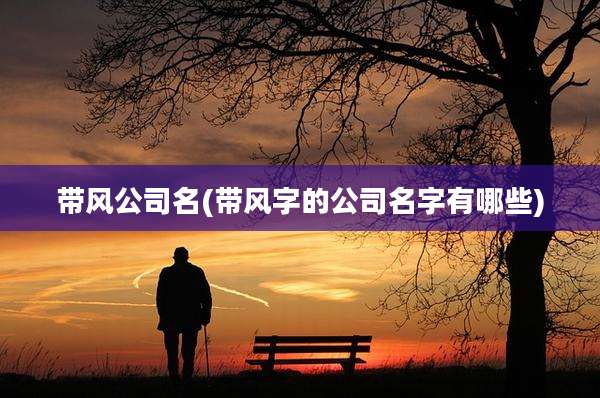 带风公司名(带风字的公司名字有哪些)