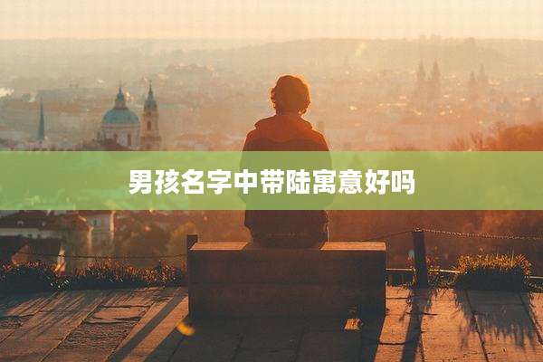男孩名字中带陆寓意好吗