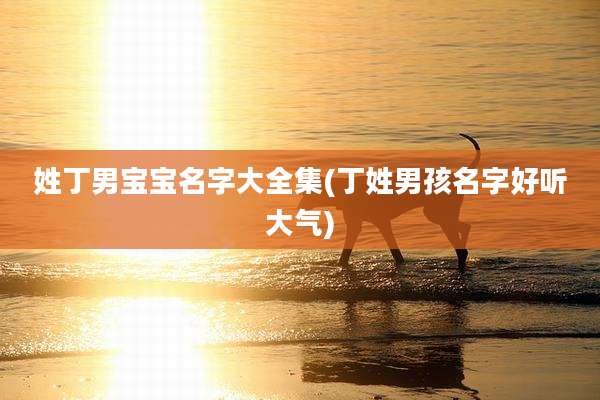 姓丁男宝宝名字大全集(丁姓男孩名字好听大气)