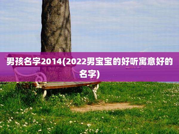 男孩名字2014(2022男宝宝的好听寓意好的名字)