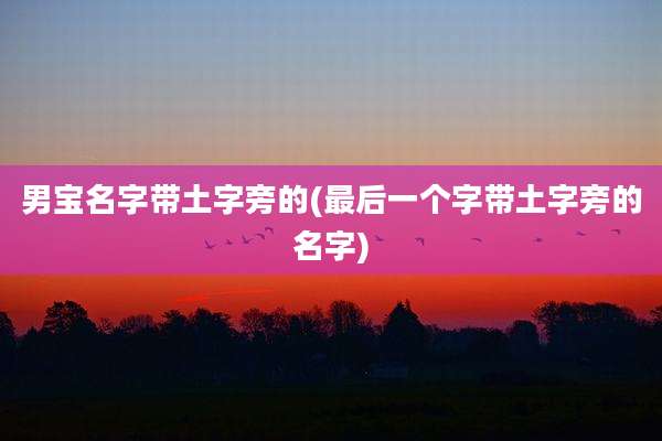 男宝名字带土字旁的(最后一个字带土字旁的名字)