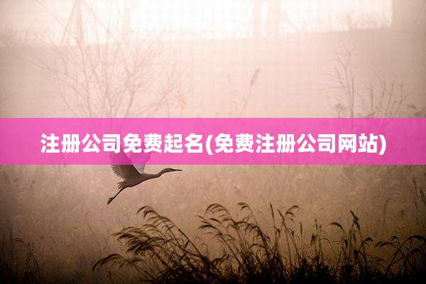 注册公司免费起名(免费注册公司网站)