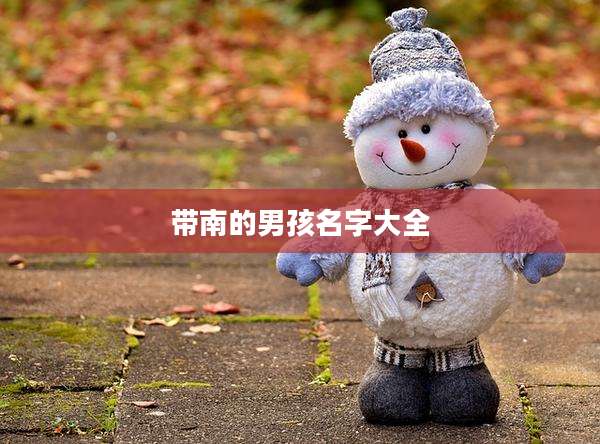 带南的男孩名字大全