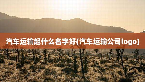 汽车运输起什么名字好(汽车运输公司logo)