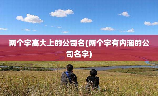 两个字高大上的公司名(两个字有内涵的公司名字)