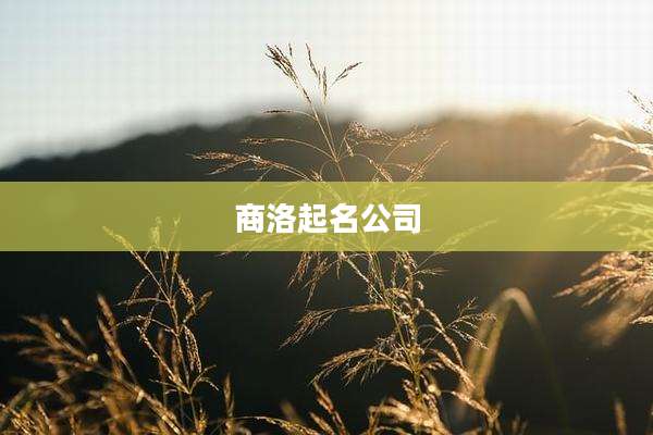 商洛起名公司