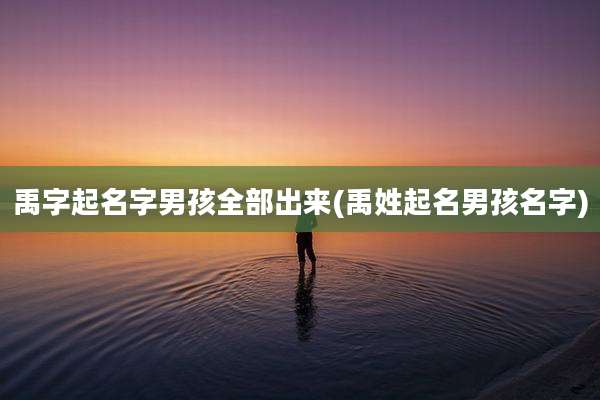 禹字起名字男孩全部出来(禹姓起名男孩名字)