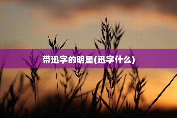 带迅字的明星(迅字什么)