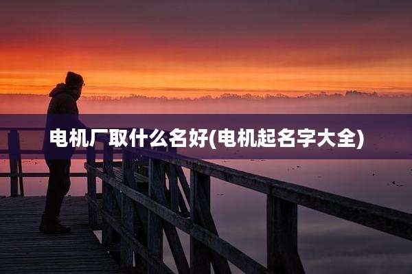 电机厂取什么名好(电机起名字大全)