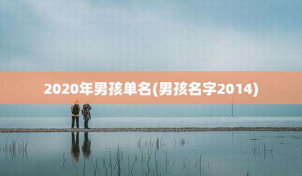 2020年男孩单名(男孩名字2014)