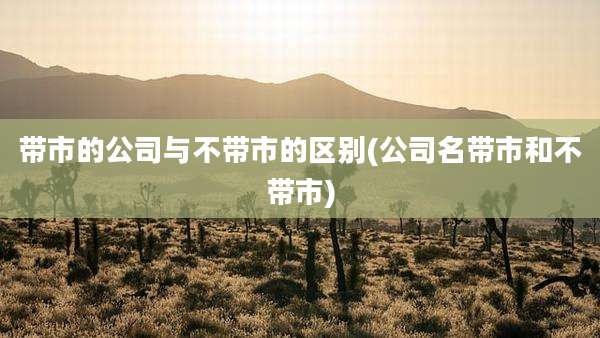 带市的公司与不带市的区别(公司名带市和不带市)