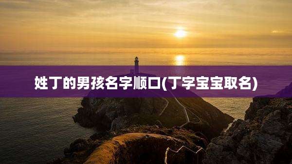 姓丁的男孩名字顺口(丁字宝宝取名)