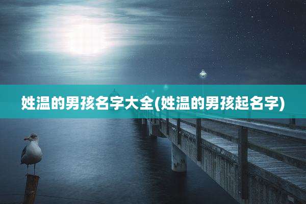 姓温的男孩名字大全(姓温的男孩起名字)